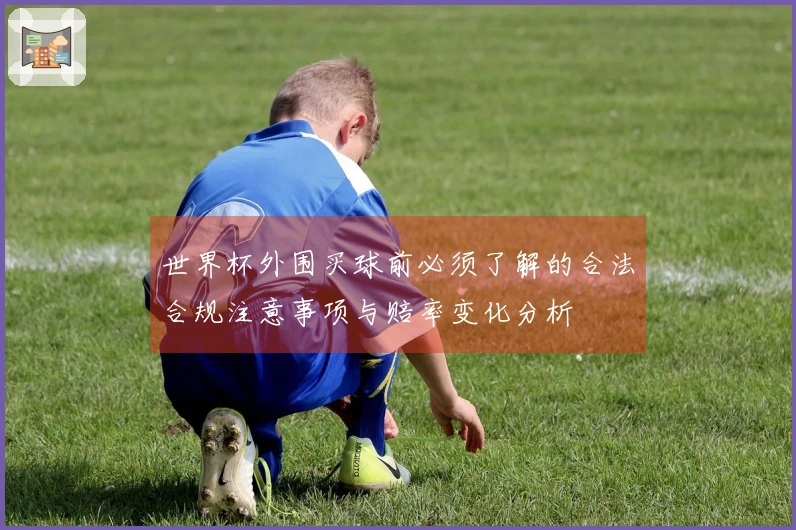世界杯外围买球前必须了解的合法合规注意事项与赔率变化分析