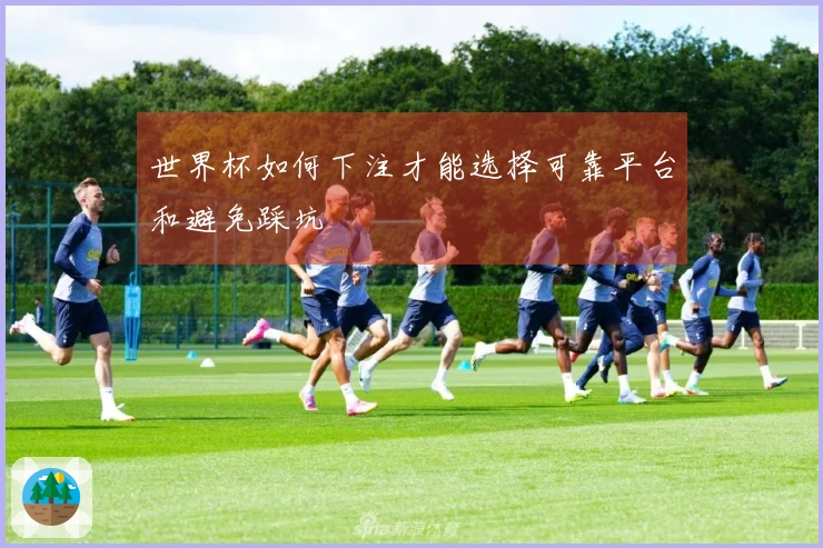 世界杯如何下注才能选择可靠平台和避免踩坑