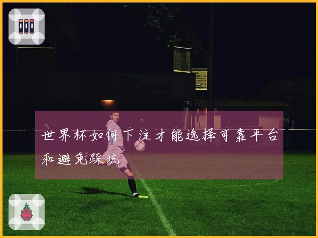 世界杯如何下注才能选择可靠平台和避免踩坑