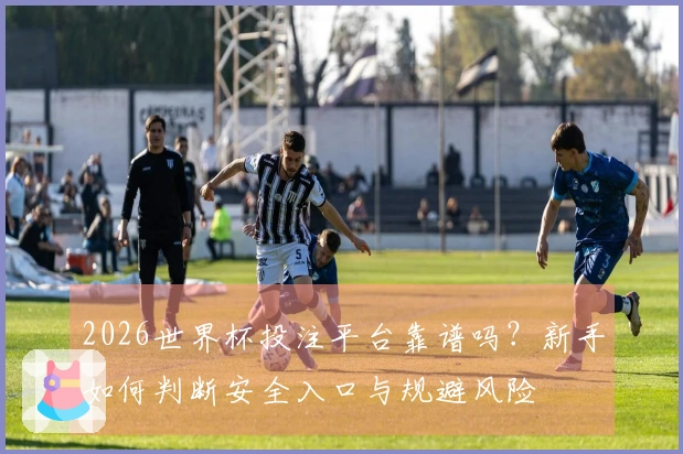 2026世界杯投注平台靠谱吗？新手如何判断安全入口与规避风险