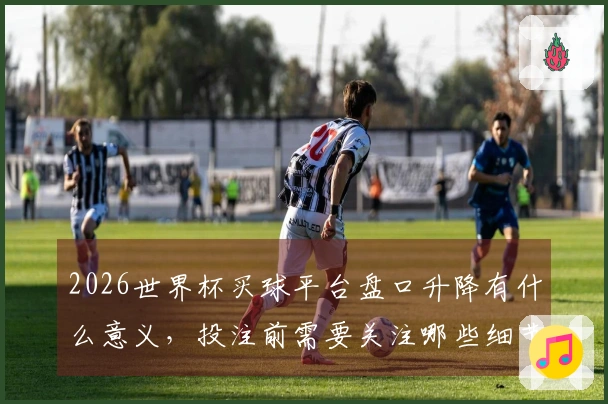2026世界杯买球平台盘口升降有什么意义，投注前需要关注哪些细节？